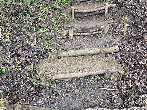 Treppe zum Angelsteg (Foto:  Marko Böttcher)