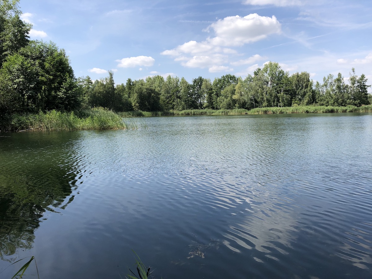 Angelsportverein (ASV) 1947 Borna e.V. zentraler Arbeitseinsatz